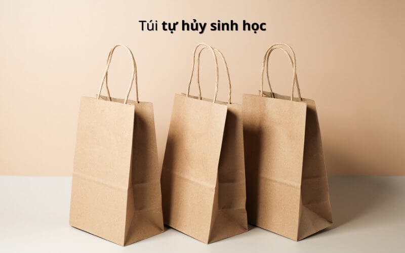 Hướng dẫn chọn mua túi sinh học phân hủy hoàn toàn