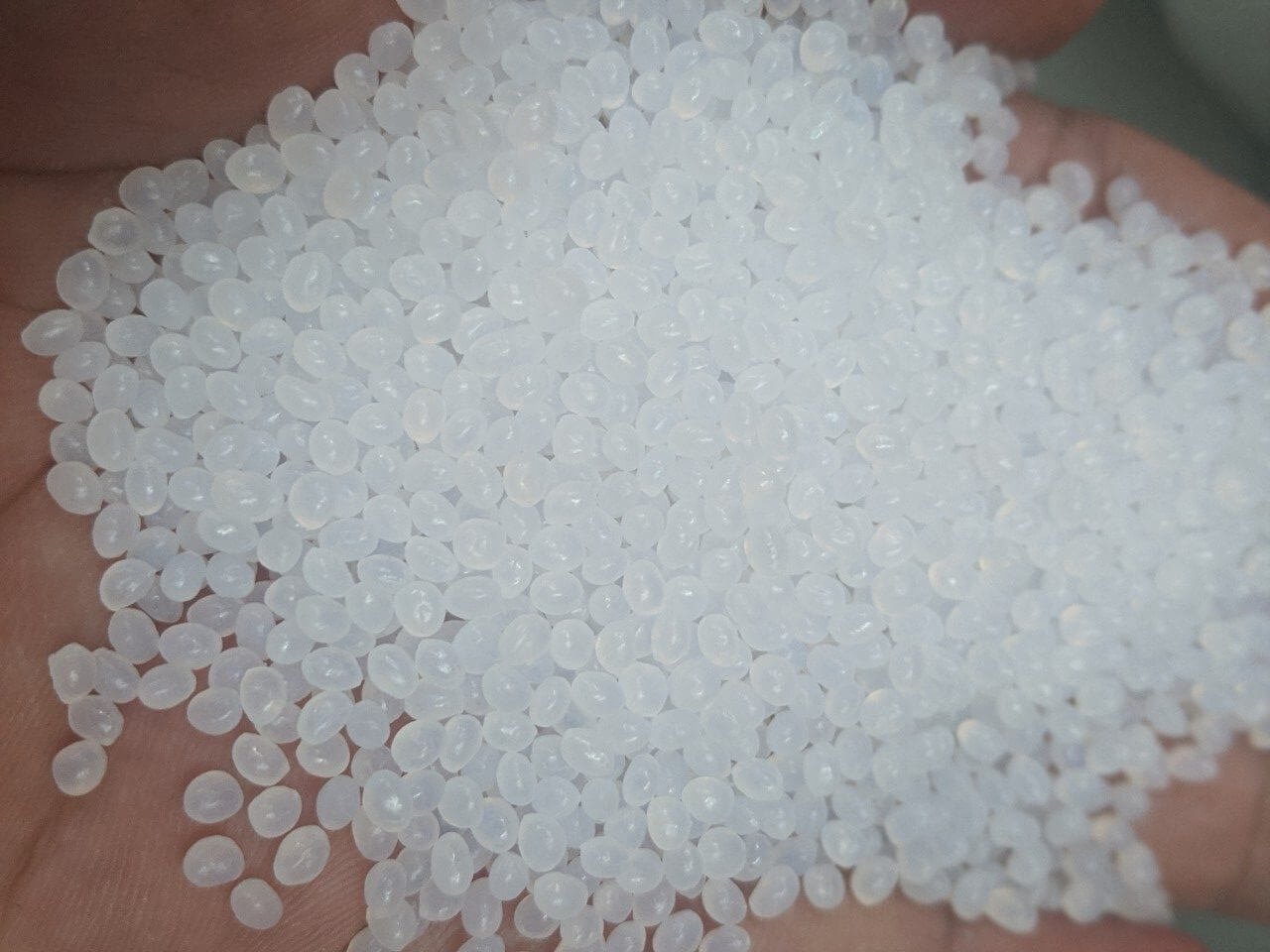 Nhựa PA6 (Nylon 6)