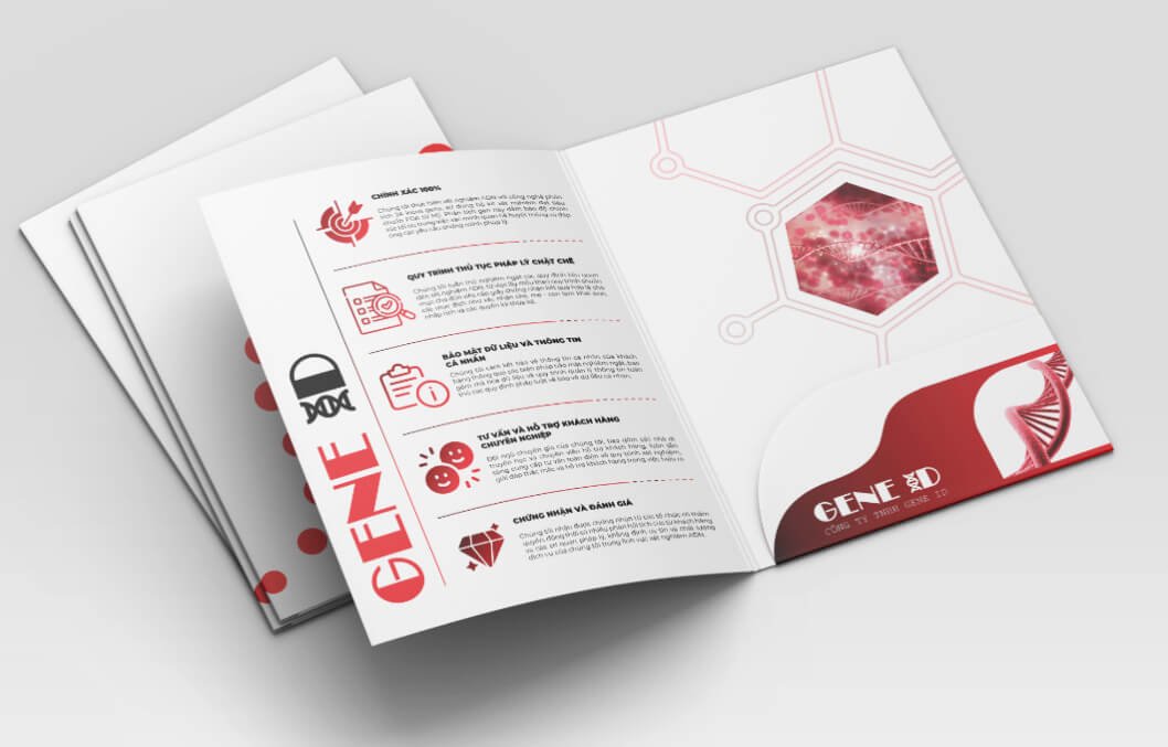 Sai lầm trong việc ứng dụng màu sắc thiết kế folder