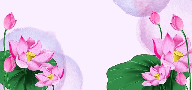 background hoa sen vector làm backdrop sự kiện 3