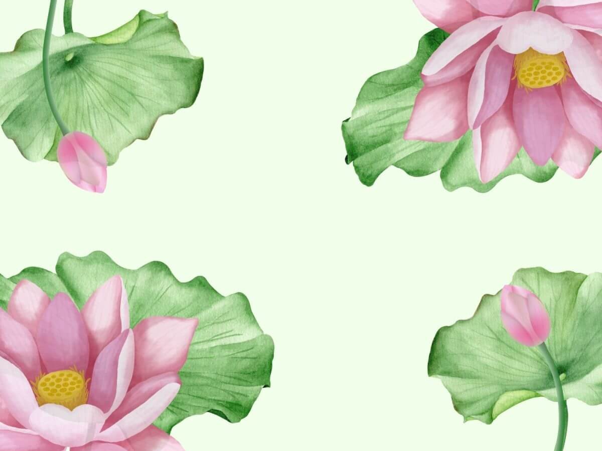 background hoa sen vector làm backdrop sự kiện 4
