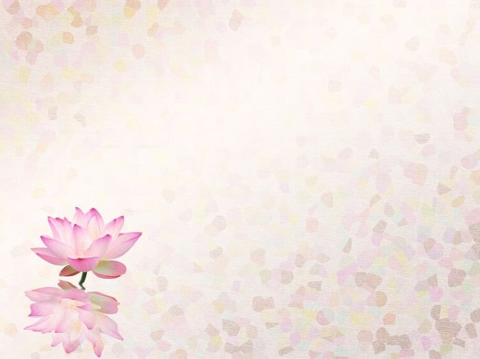 hoa sen background cho bài thuyết trình 1