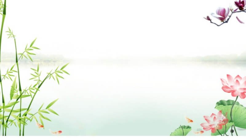 hoa sen background cho bài thuyết trình 2