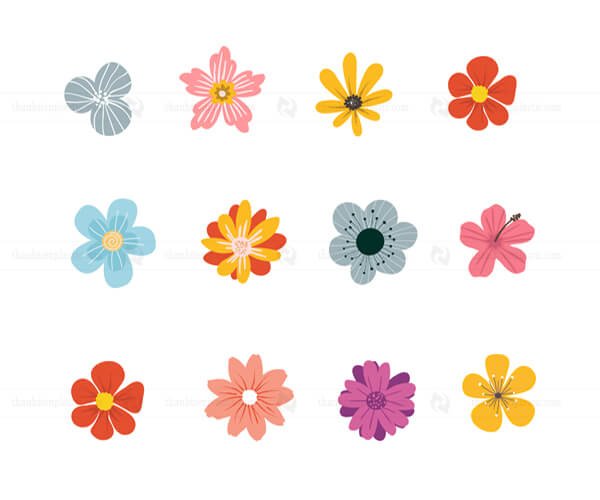 Tải trọn bộ file vector hình bông hoa 5 cánh chất lượng cao 4 Mẫu hoa 5 cánh phong cách vintage