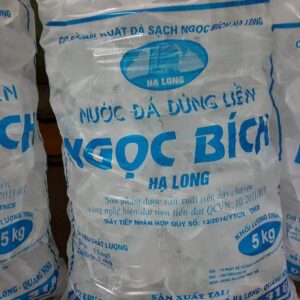 Các loại hình nước đá phổ biến trên thị trường
