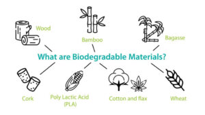 Định nghĩa và bản chất của thuật ngữ Biodegradable