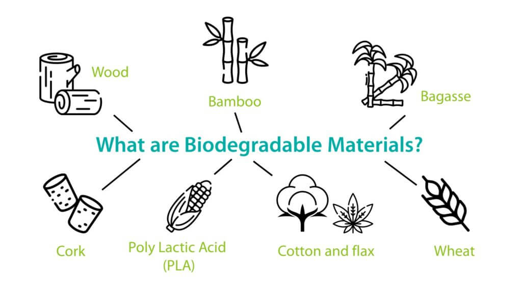 Định nghĩa và bản chất của thuật ngữ Biodegradable