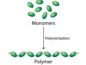 BẢN CHẤT CỦA MONOMER LÀ GÌ?