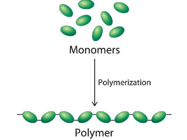 Monomer là gì và vai trò quan trọng của nó trong hóa học 2 BẢN CHẤT CỦA MONOMER LÀ GÌ?