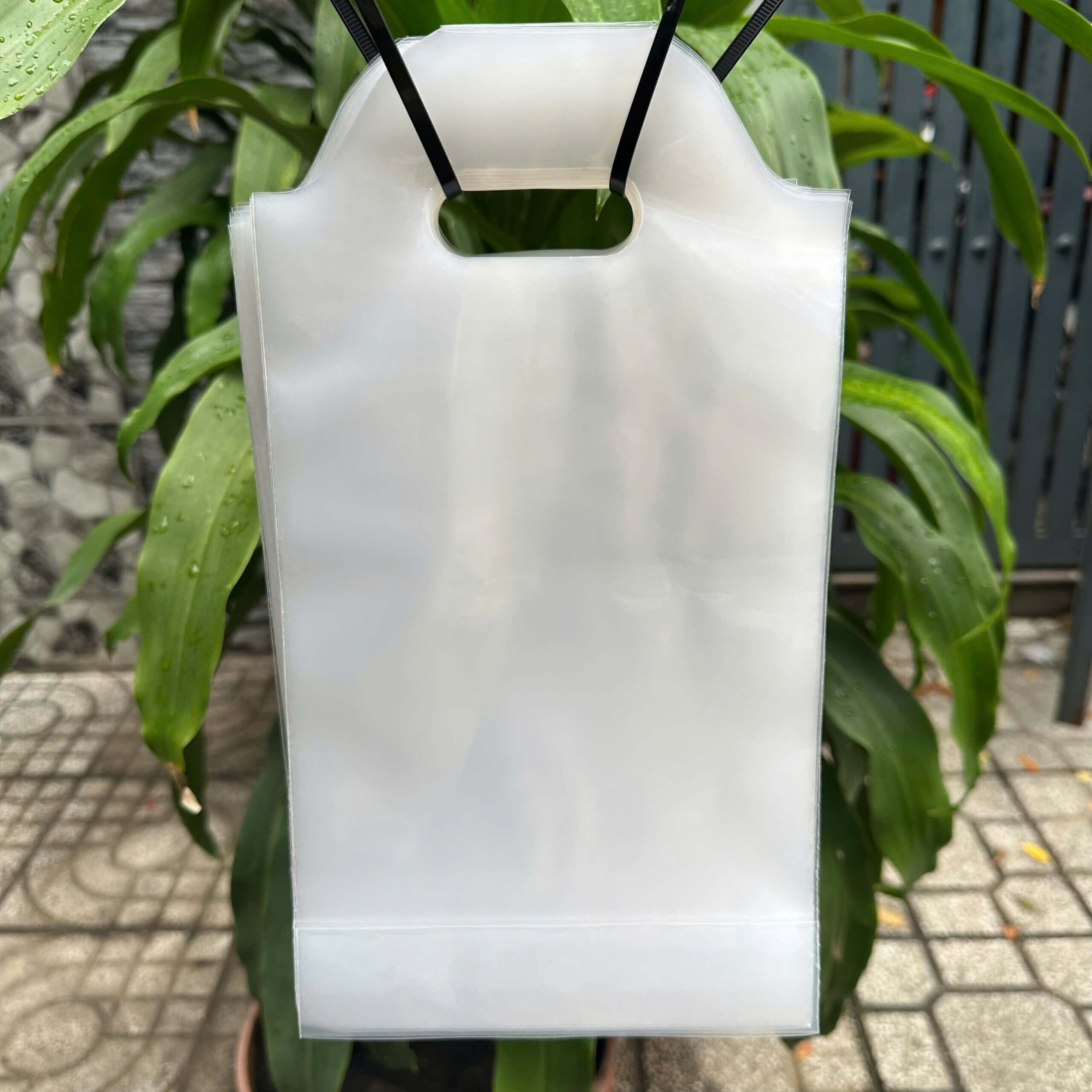 Bảng giá túi đựng ly sỉ cạnh tranh tại Tâm Bình