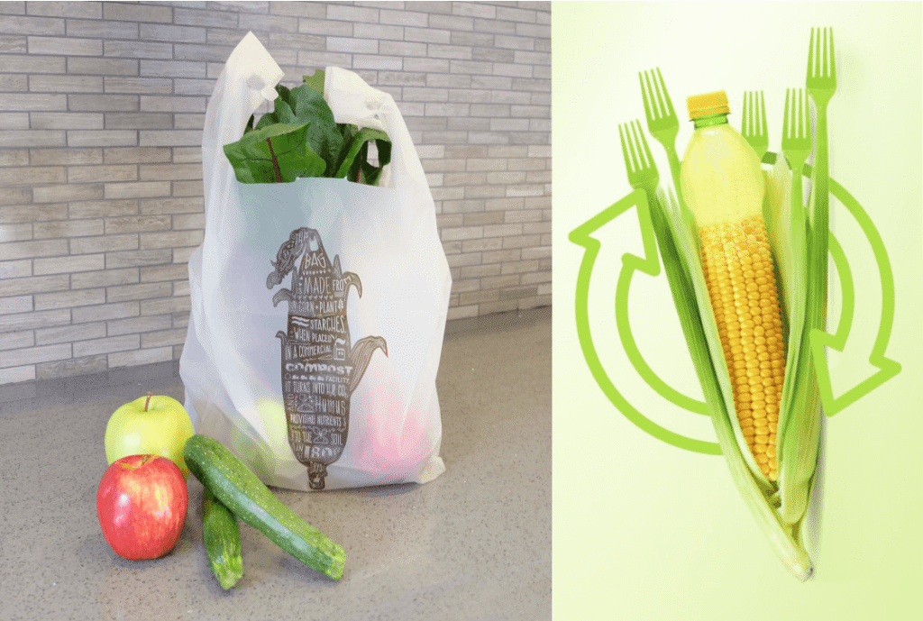 Nhựa sinh học là gì và cơ chế hình thành từ tự nhiên?
