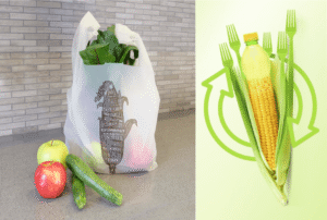 Nhựa sinh học là gì và cơ chế hình thành từ tự nhiên?