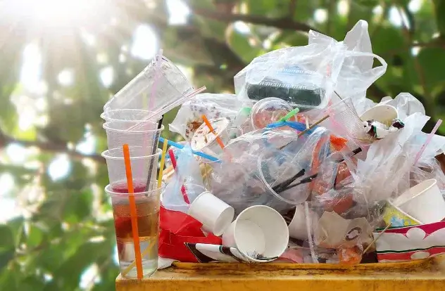 Tác động tiêu cực của nhựa truyền thống đến hệ sinh thái