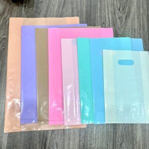 Tổng quan về dòng túi hột xoài