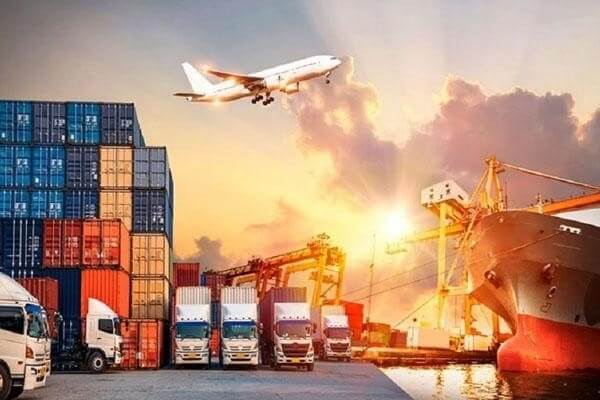 Thủ tục pháp lý và quy trình xuất khẩu